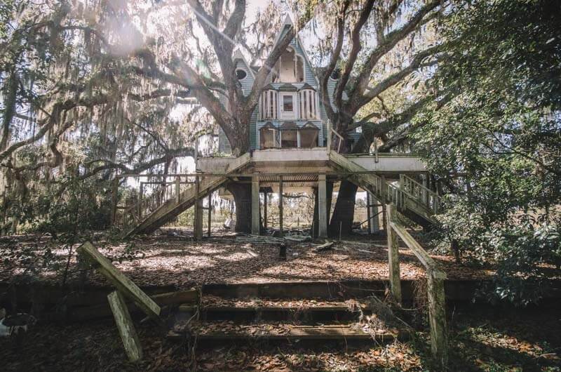 abandoned tree house