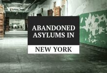 asylums in new york