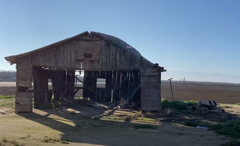 decaying shed